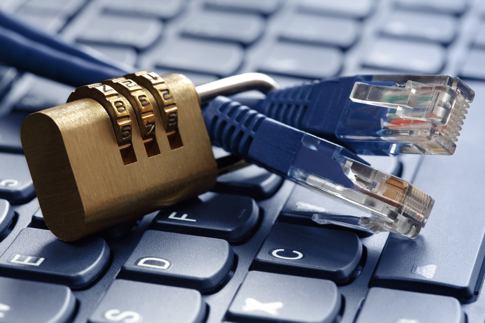 How does the National Domain Name System work in Russia?