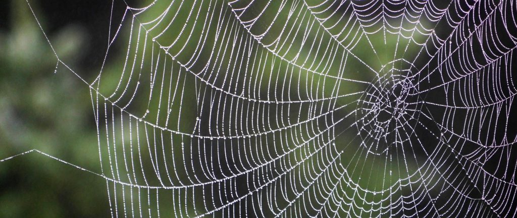 Как россияне используют социальные сети?