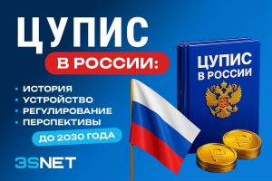 ЦУПИС в России: история, устройство, регулирование и перспективы до 2030 года