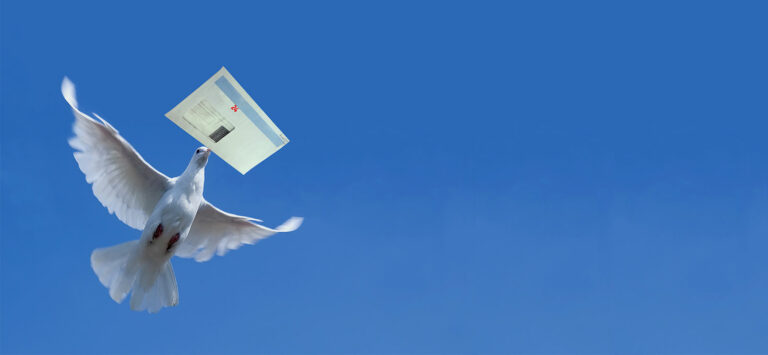 Какой мессенджер выбирают россияне? - 3snet