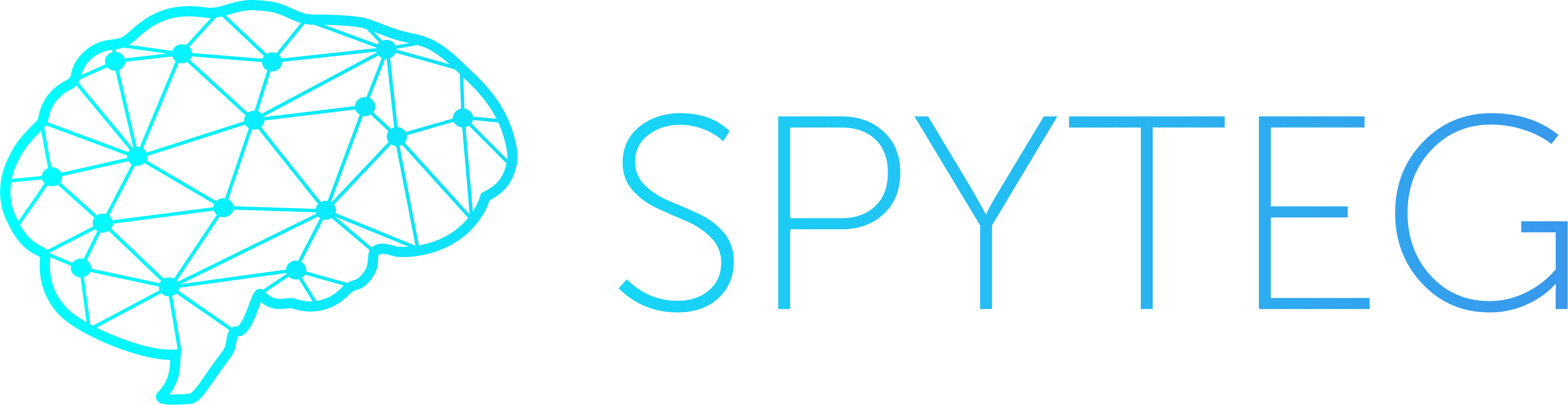 Spyteg
