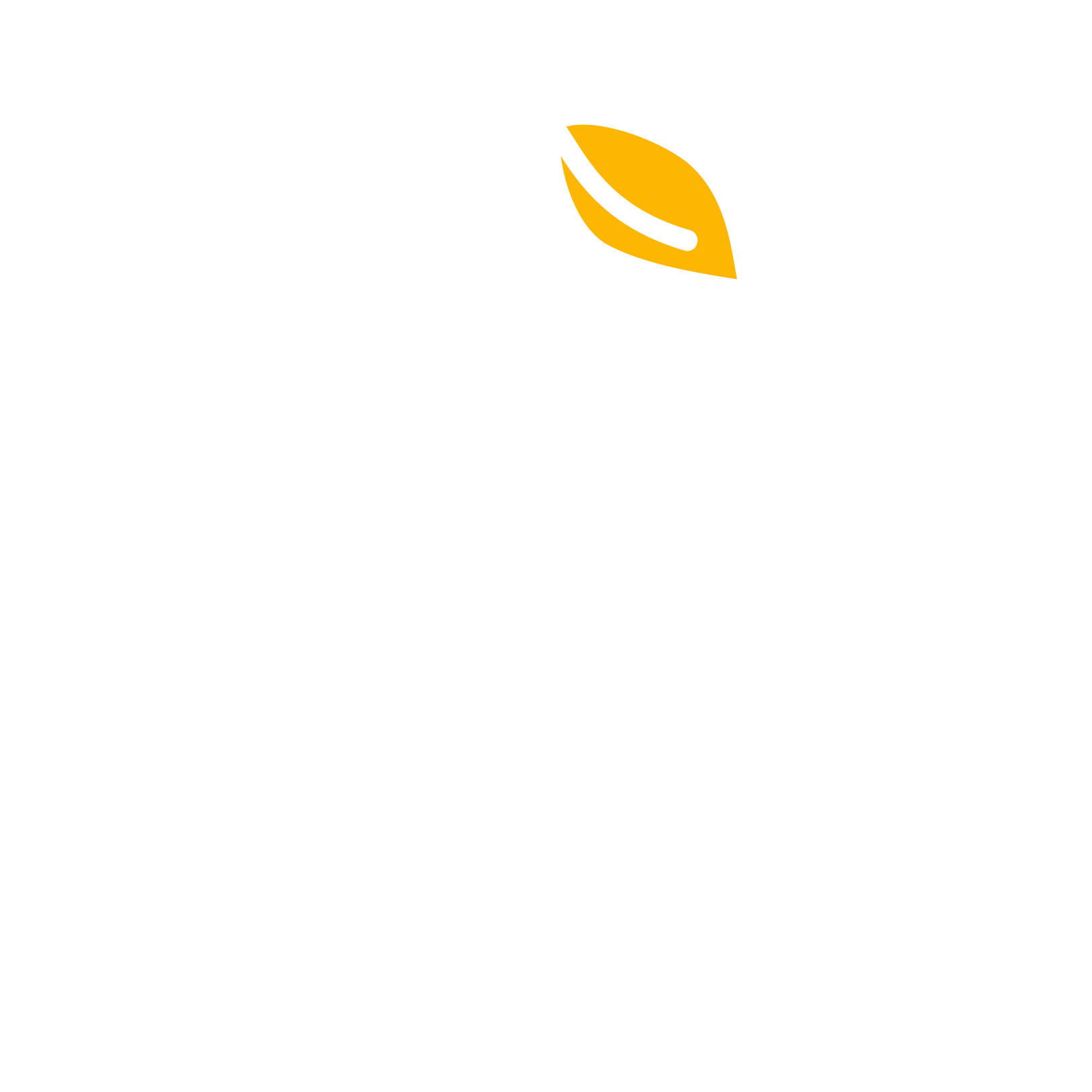 MANGO PROXY логотип